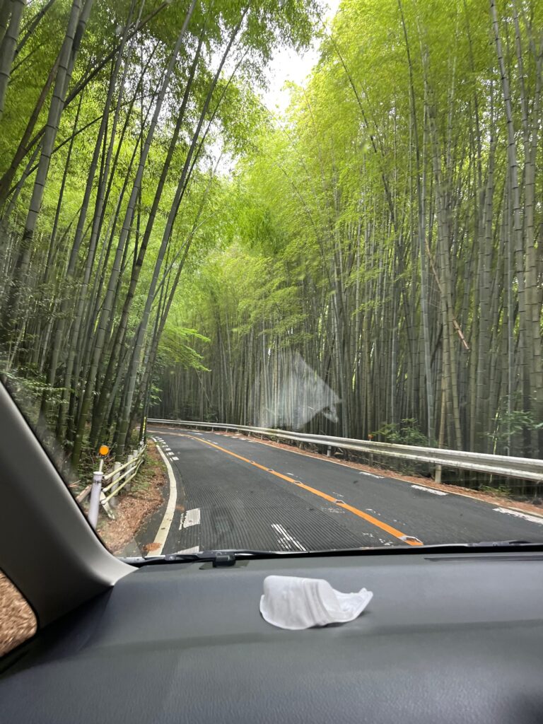 福岡県から北九州市への仏壇引越し・移動の帰路に通った竹林に囲まれた国道