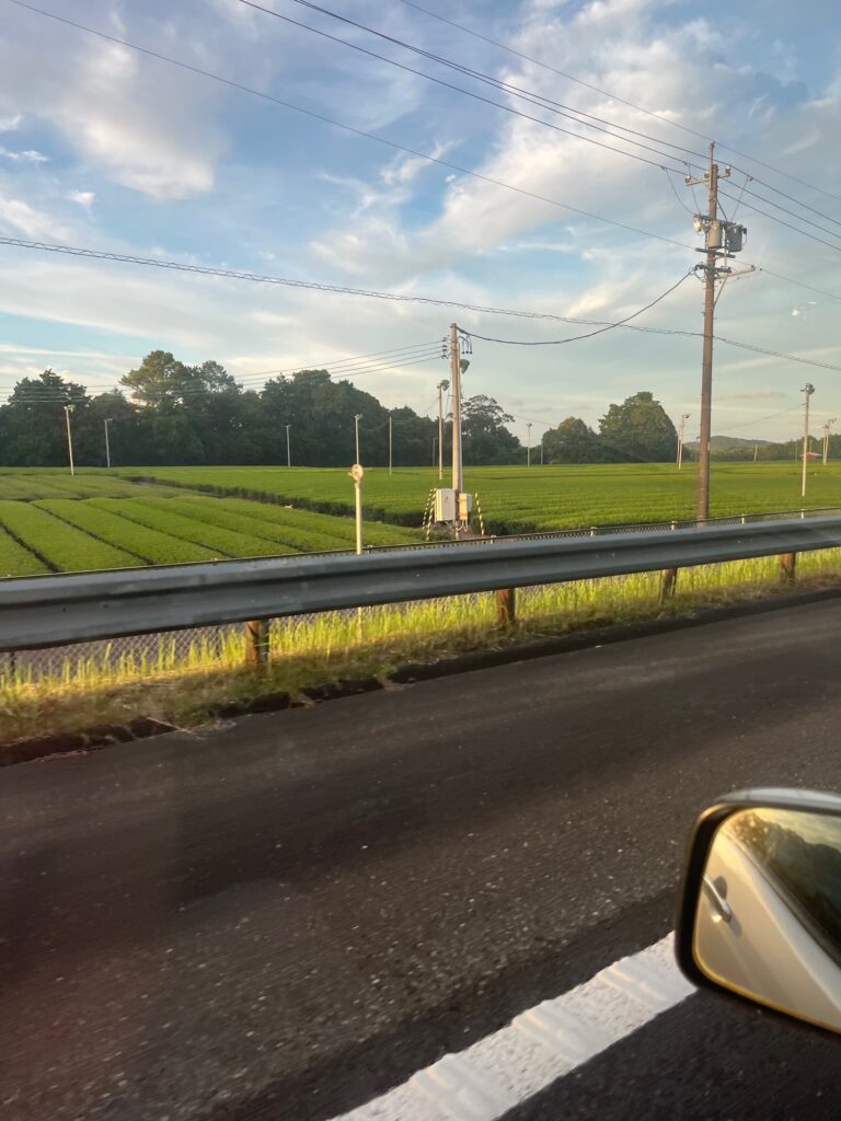 仏壇の引越し移動運搬中に見えた静岡県の茶畑の風景