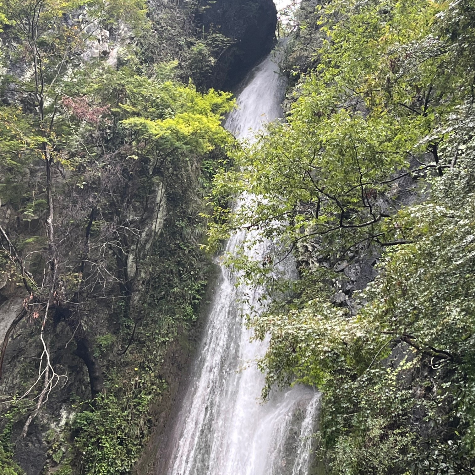 水流が少ないこともありますが、前日が雨だったこともあり、美しく豪快な流水の様子