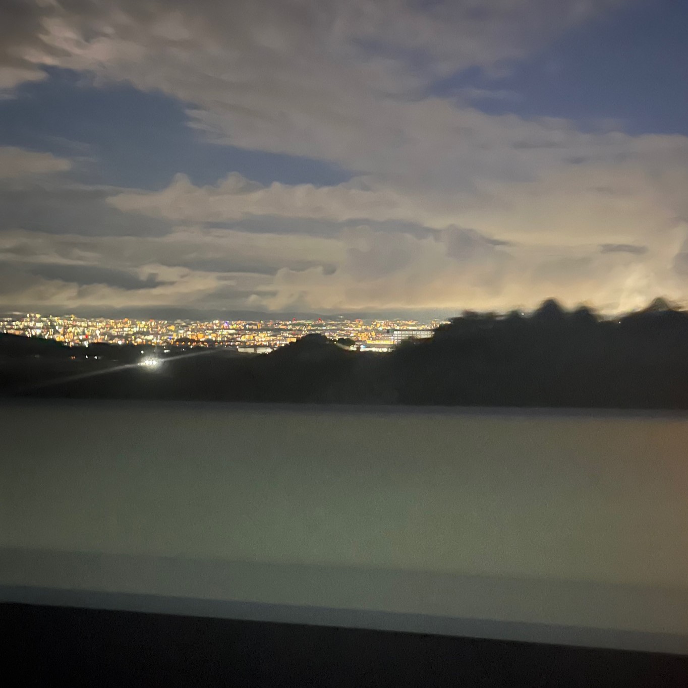 新名神高速道路から見える大阪の広大な夜景を見ながら、次の仏壇旅に向かう