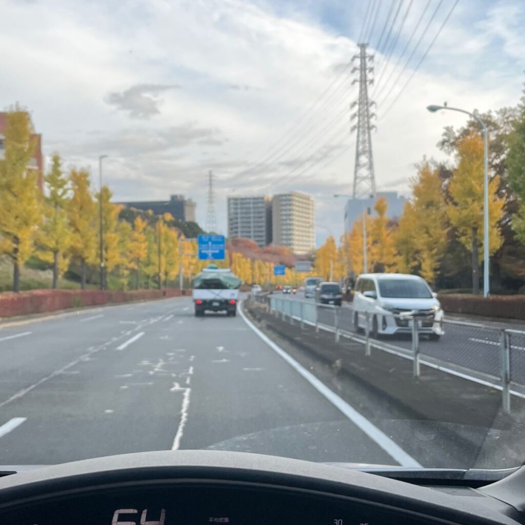 東京のビルと黄色に染まった銀杏並木と道路