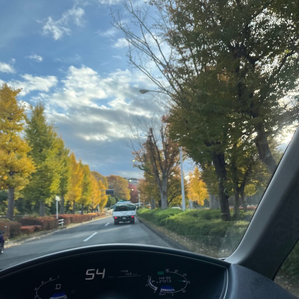 黄色と緑に染まった府中市のイチョウ並木通り