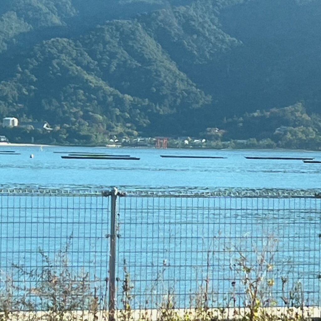 海の向こうには宮島、厳島神社の赤い大鳥居が見える