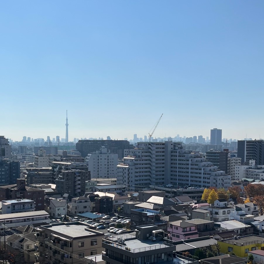 お客様マンションから眺める東京都心、スカイツリーと都心ビル群が広がっている