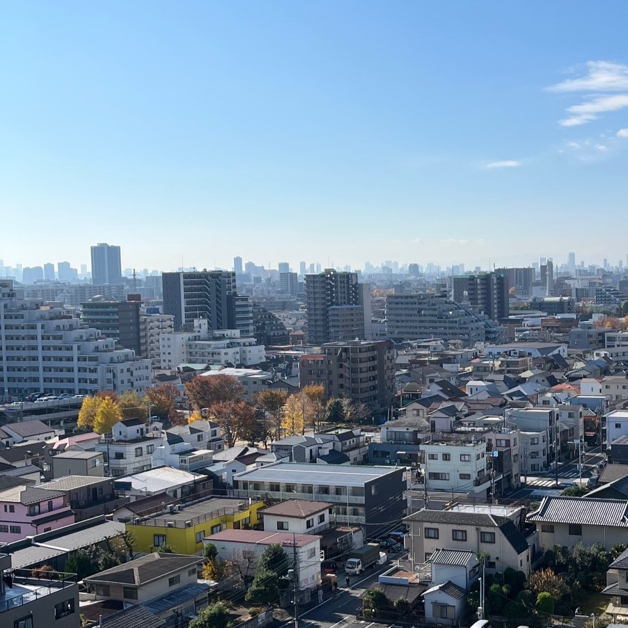 一枚の写真に収まりきらないくらいのビル群が広がっている