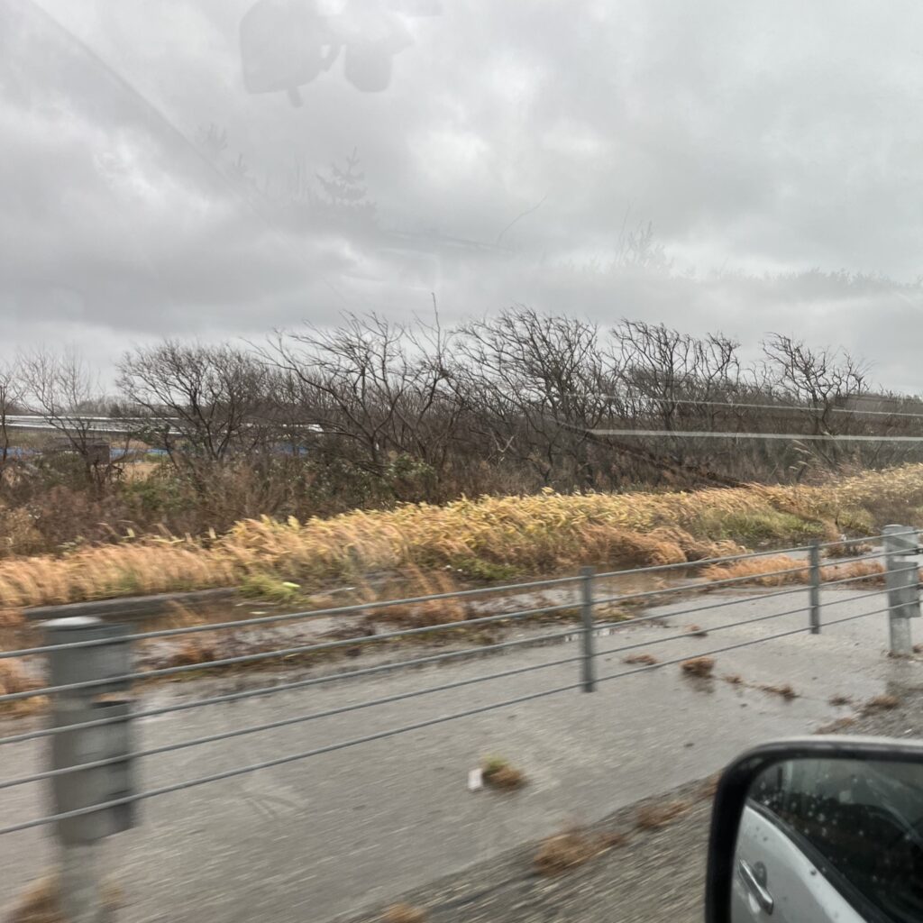 風が強くなり周りの木々も車も揺れ始めている。