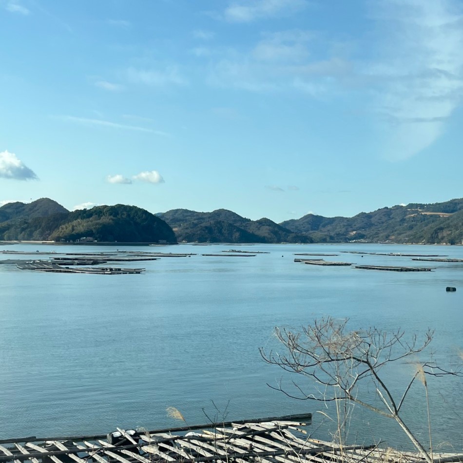 呉市内の瀬戸内海沿いの国道、牡蠣の養殖場が海面に浮かんでいる