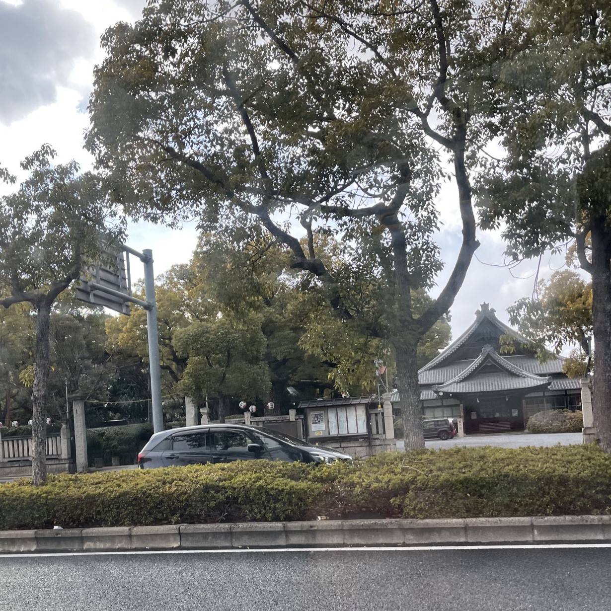 帰り道に見えた、大きな木々に囲まれた神社