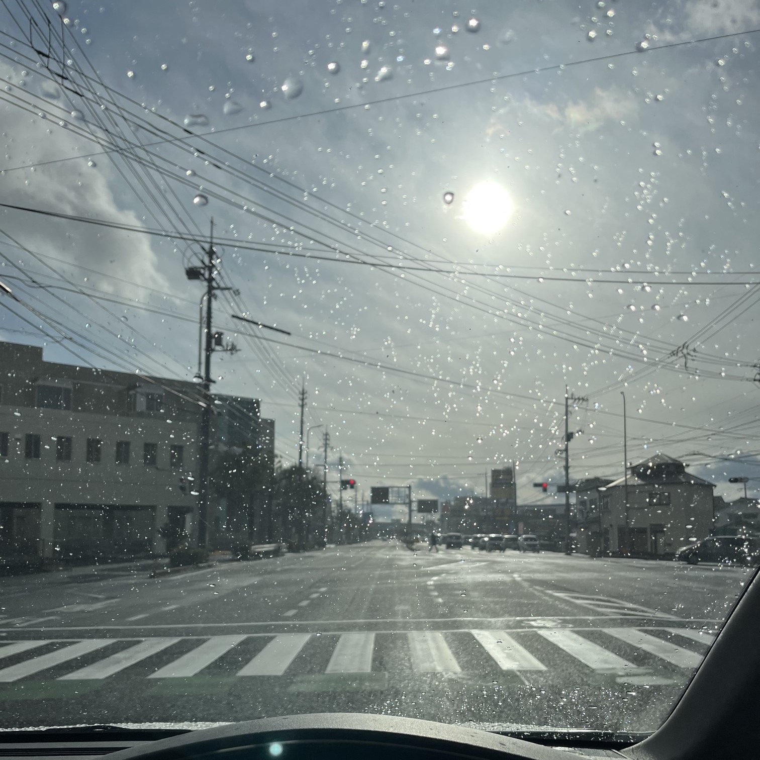 雨上がりの太陽の光が美しく差し込んでいる
