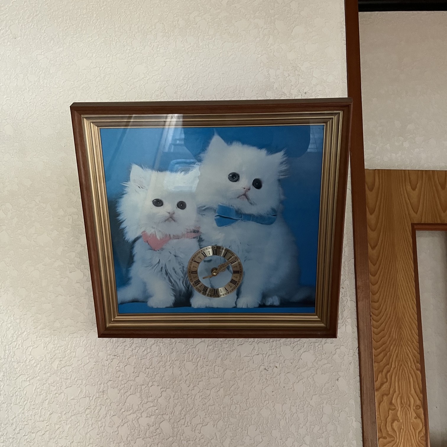 白く可愛い猫二匹が並んでいる写真の額の中には時計がある